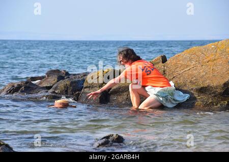 Il cappello di paglia cade fuori della roccia nel mare, Berwick del nord, Lothian orientale, Scozia Regno Unito Foto Stock