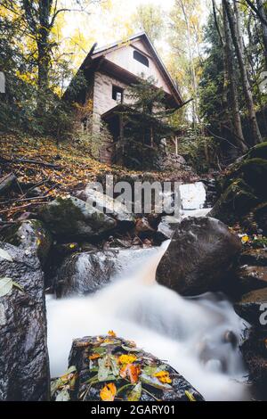 Acqua di ruscello che scorre su rocce nei boschi autunnali accanto ad una casa solita, Longomoso, Renon, Bolzano, Alto Adige, Italia Foto Stock