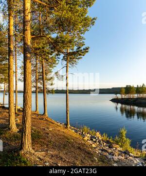 Un lago calmo con piccola isola e tramonto dorato luce sera sugli alberi e la foresta sulla riva del lago in primo piano Foto Stock