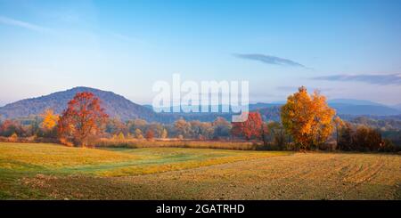 paesaggio rurale autunnale all'alba. bella campagna montagnosa in fine stagione autunnale. campi vuoti. alberi in rosso e arancio fogliame. atmo frizzante Foto Stock