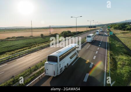 Serie di moderni autobus bianchi che partono su un'ampia autostrada in uno sfondo rurale. Convoglio di autobus. Trasporto in autostrada di passeggeri su una linea di autobus. Foto Stock