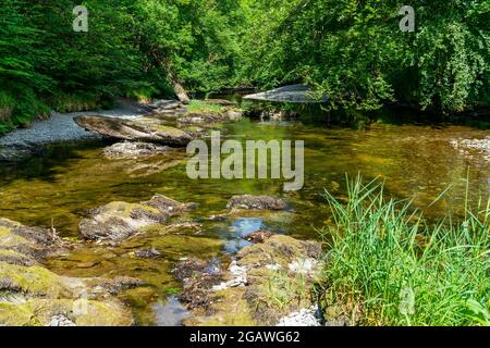 Fiume Marteg nei boschi intorno Rhayader in Elan Valley, Powys, Galles Foto Stock