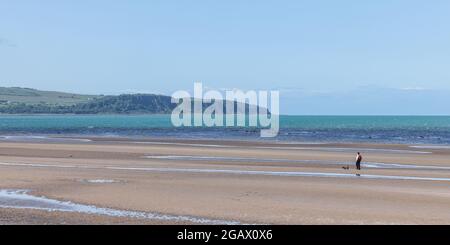 Donna che cammina un cane su Ayr Beach guardando verso i capi di Ayr, Ayrshire, Scozia, Regno Unito quando la marea è fuori Foto Stock