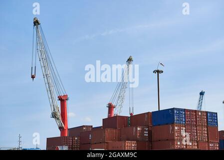 Container nel porto di Bilbao, Santurce, Biscaglia, Paesi Baschi, Euskadi, Spagna, Europa Foto Stock