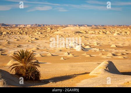 Strane formazioni rocciose di gesso nel deserto Bianco, Farafra, Egitto Foto Stock