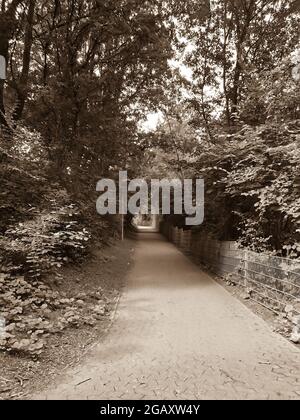 Der Weg Foto Stock