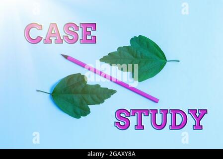 Scrittura visualizzazione di testo Case Study, analisi di approccio aziendale e un progetto di ricerca specifico per esaminare un problema due oggetti disposti di fronte Inwa Foto Stock