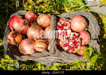 melograno in cesto di vimini, buona frutta. Buon cibo per salute, vitamina e sali minerali supplemento. Foto Stock