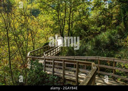 Passerella in legno nel Mao River Canyon, Ribeira Sacra, Galizia, Spagna Foto Stock