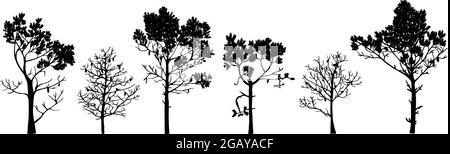 Insieme di silhouette ad albero di diversi tipi e forme isolate su sfondo bianco. Illustrazione. Illustrazione Vettoriale