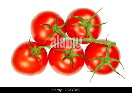 Pomodori in padella dall'alto, isolati su bianco. Frutti freschi, maturi, rossi e crudi di Solanum lycopersicum, una ricca fonte di sapore di umami. Foto Stock