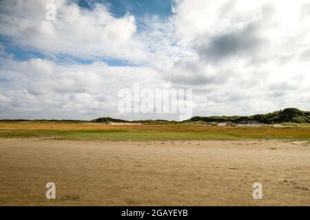Riserva naturale de Slufter nell'isola di Texel, Olanda del Nord, Paesi Bassi Foto Stock