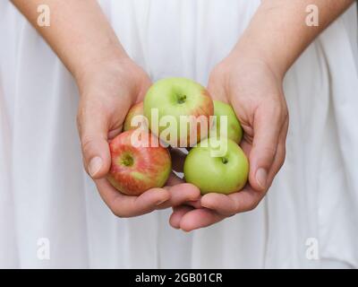 Una donna che tiene in mano mele biologiche. Primo piano. Foto Stock