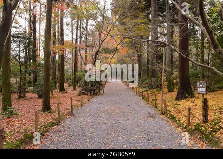 Vista del Tempio Ryoanji, un tempio Zen situato nella parte nord-occidentale di Kyoto in autunno, Giappone Foto Stock