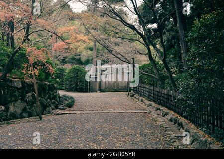 Vista del Tempio Ryoanji, un tempio Zen situato nella parte nord-occidentale di Kyoto in autunno, Giappone Foto Stock