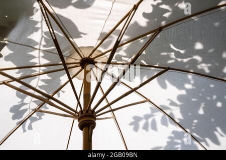 Sfondo di bambù naturale ombrello di cotone luce solare giardino all'aperto casa architettura di design decorazione Foto Stock