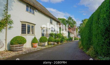 vista lungo una fila di bei vecchi cottage con finestre a gomito, piantatrici e alta copertura verde Foto Stock