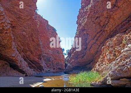 Simpsons Gap, Tjoritja/West MacDonnell National Park Foto Stock