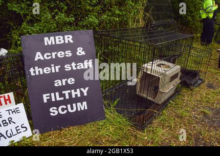 Huntingdon, Regno Unito. 01 agosto 2021. Un cartello anti-MBR Acres è visto accanto a una gabbia vuota durante la protesta MBR Acres a Huntingdon, Cambridgeshire. Gli attivisti del benessere animale si sono riuniti fuori dal sito di allevamento delle aquile di MBR Acres per chiedere il rilascio di 2000 aquile secondo i manifestanti, che sono stati allevati per essere utilizzati in esperimenti crudeli. Decine di attivisti hanno anche allestito un campeggio a lungo termine fuori dal sito per fare pressione sull'azienda affinché rilasci i cani e chiuda le strutture. Credit: SOPA Images Limited/Alamy Live News Foto Stock