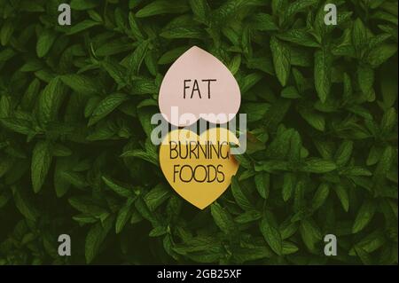 Segno che mostra Fat Burning Foods. L'idea di affari produce la perdita di grasso stimolando il metabolismo per ridurre l'appetito carta a forma di cuore sulla parte superiore dell'esterno Foto Stock