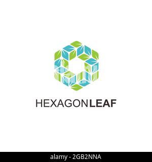 esempio di icona vettoriale con logo a forma di esalaves verde a foglia esagonale Foto Stock