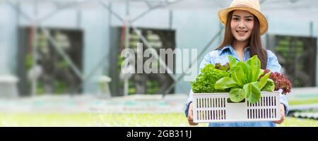 Cibo sano fattoria di verdure biologiche, felicemente attraente proprietario di donna crate pieno di verdure idroponiche, tenere e combinare le piante in cesto nella grea Foto Stock