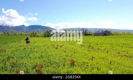 Felice ragazza di saltare sul campo di tulipani contro Sky Foto Stock