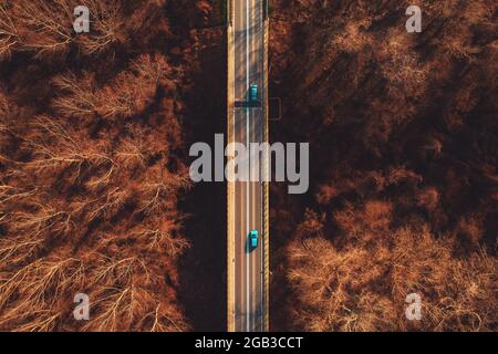 Vista aerea di due auto che guidano lungo la strada attraverso la foresta decidua, vista dall'alto drone fotografia Foto Stock