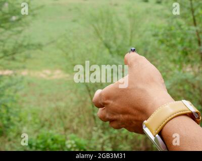 Mano dell'uomo che presenta l'insetto sul dito intorno sfondo verde naturale. Foto Stock
