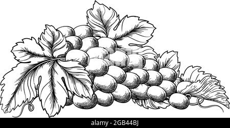 Grappolo di uva vigna e lascia la xilografia stile di attacco Illustrazione Vettoriale