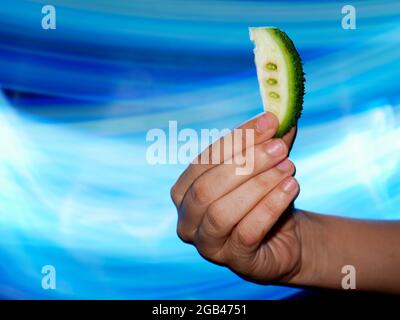 Fresco organico un pezzo fresco affettato gourd appuntito presentato sulla mano della signora con effetto luminoso sfondo, natura commerciale cibo presentazione immagine. Foto Stock