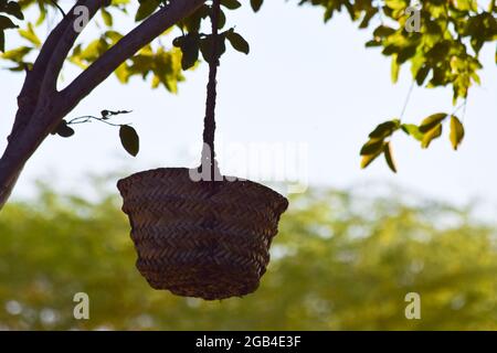 Strumento casella albero datteri fatti a mano, foglia di palma vaso asciutto appeso sul legno in giardino, marrone sfondo cultura cosa foto Foto Stock