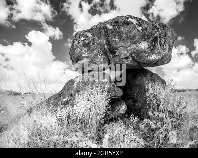 Il Devil's Den vicino a Marlborough nel Wiltshire, sparato a infrarossi. Foto Stock