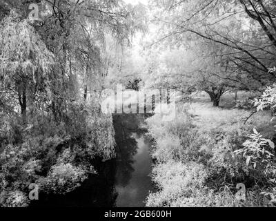 Il fiume Kennett vicino a Marlborough nel Wiltshire, sparato a infrarossi. Foto Stock