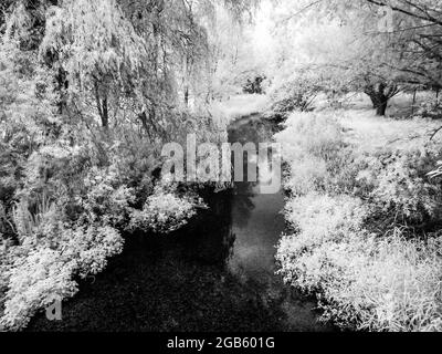 Il fiume Kennett vicino a Marlborough nel Wiltshire, sparato a infrarossi. Foto Stock