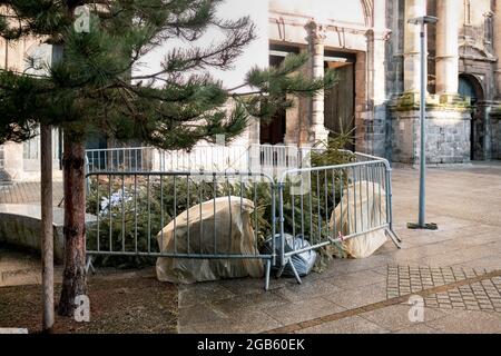 Usato alberi di Natale dietro la recinzione in Francia Foto Stock