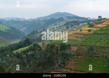 Ruanda terra di migliaia colline verde paesaggio Foto Stock