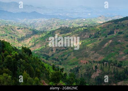 ruanda terra di migliaia colline verde paesaggio Foto Stock