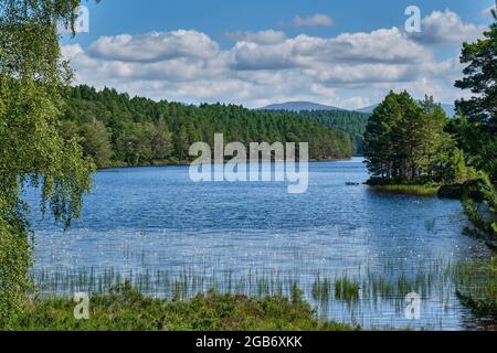 Loch an Eilein, vicino a Rothiemurchus, Aviemore, Badenoch e Speyside, Scozia Foto Stock