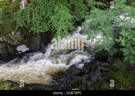 Rhaeadr Ddu cascate, Ganllwydd, Coed Ganllwydd Riserva Naturale Nazionale, Parco Nazionale di Snowdonia, Gwynedd, Wales, Regno Unito Foto Stock