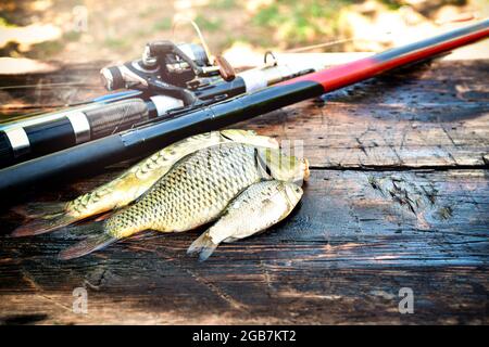 Pescato fresco di pesce su un bancone di legno accanto alle canne da pesca. Foto Stock