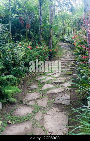 Percorso nel giardino del Museo Leymebamba, Perù settentrionale. Questo museo ospita le mummie trovate a Laguna de los Condores. Foto Stock