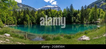 Panorama del pittoresco lago di montagna Blausee situato nella valle del Kander sopra Kandergrund nella regione di Jungfrau, Svizzera. Foto Stock