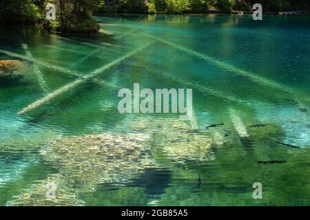 Il pittoresco lago di montagna Blausee situato nella valle del Kander sopra Kandergrund nella regione di Jungfrau, in Svizzera. Foto Stock