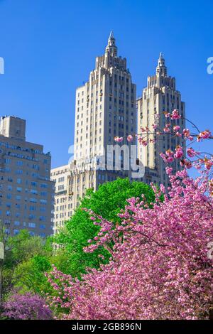 Fioritura dei ciliegi in piena fioritura nel Central Park tra Pandemic NYC Foto Stock