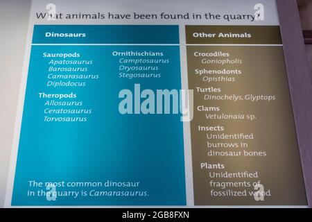 Mostra i nomi dei fossili di dinosauri che si trovano all'interno della Quarry Exhibit Hall nel Dinosaur National Monument al confine tra Utah e Colorado, USA Foto Stock