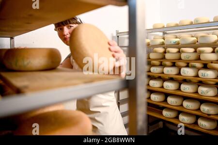 Flatow, Germania. 30 luglio 2021. L'agricoltore Sarah Spindler trasforma il formaggio nella sala di maturazione del caseificio di capra Karolinenhof vicino a Kremmen. La fattoria di capra è qui dal 1992, producendo 20 tipi differenti di formaggio crudo di latte dal 100 per cento latte di capra nel suo proprio caseificio. A vostra disposizione anche latte fresco, yogurt, torte, frutta fresca e verdure. I prodotti sono venduti esclusivamente nel negozio e nel caffè dell'azienda. Nel frattempo, vengono tenuti anche pecore da latte, bestiame delle Highlands scozzesi e bantam. Credit: Pedersen/dpa-Zentralbild/ZB/dpa/Alamy Live News Foto Stock