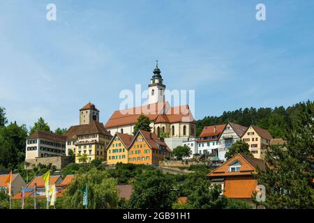 Vista sulla città, Horb am Neckar, Neckar, Foresta Nera, Baden-Wuerttemberg, Germania Foto Stock