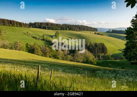 Casa colonica solitaria in paesaggio collinare, primavera, St.Maergen, Foresta Nera, Baden-Wuerttemberg, Germania Foto Stock