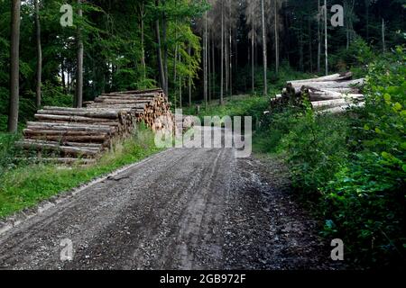 Sentiero per il Teufelskanzel, legno in legno, cintura verde, sentiero di confine, confine interno-tedesco, Werra-Bergland, Gerbershausen, quartiere di Eichsfeld Foto Stock